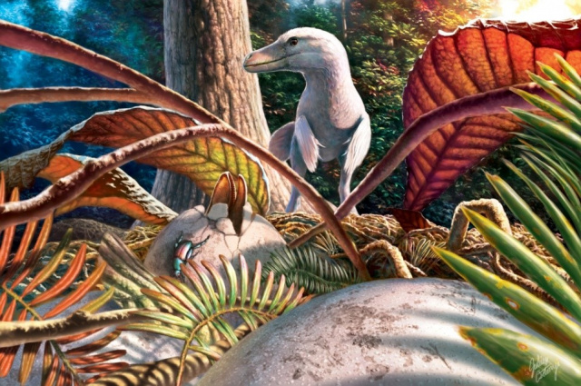 A Pseudogeckoolithus tojások és a feltételezett tojásrakó maniraptora dinoszaurusz rekonstrukciója. Illusztráció: Julius Csotonyi