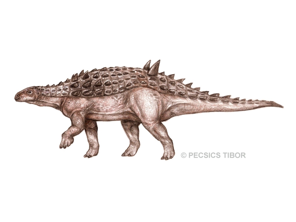 Struthiosaurus